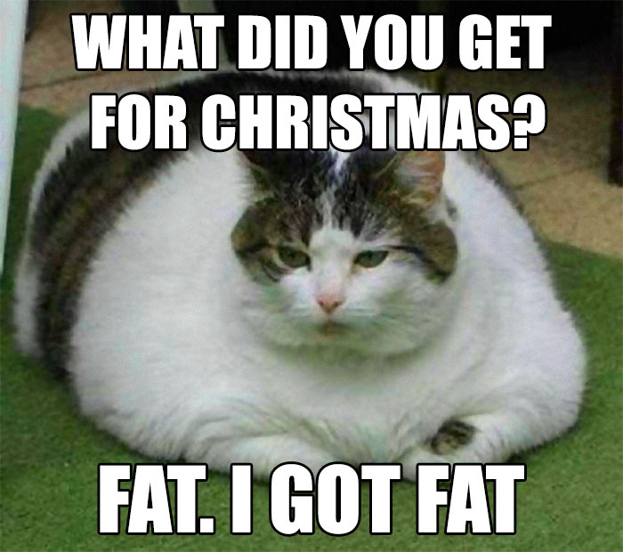 Christmas Fat