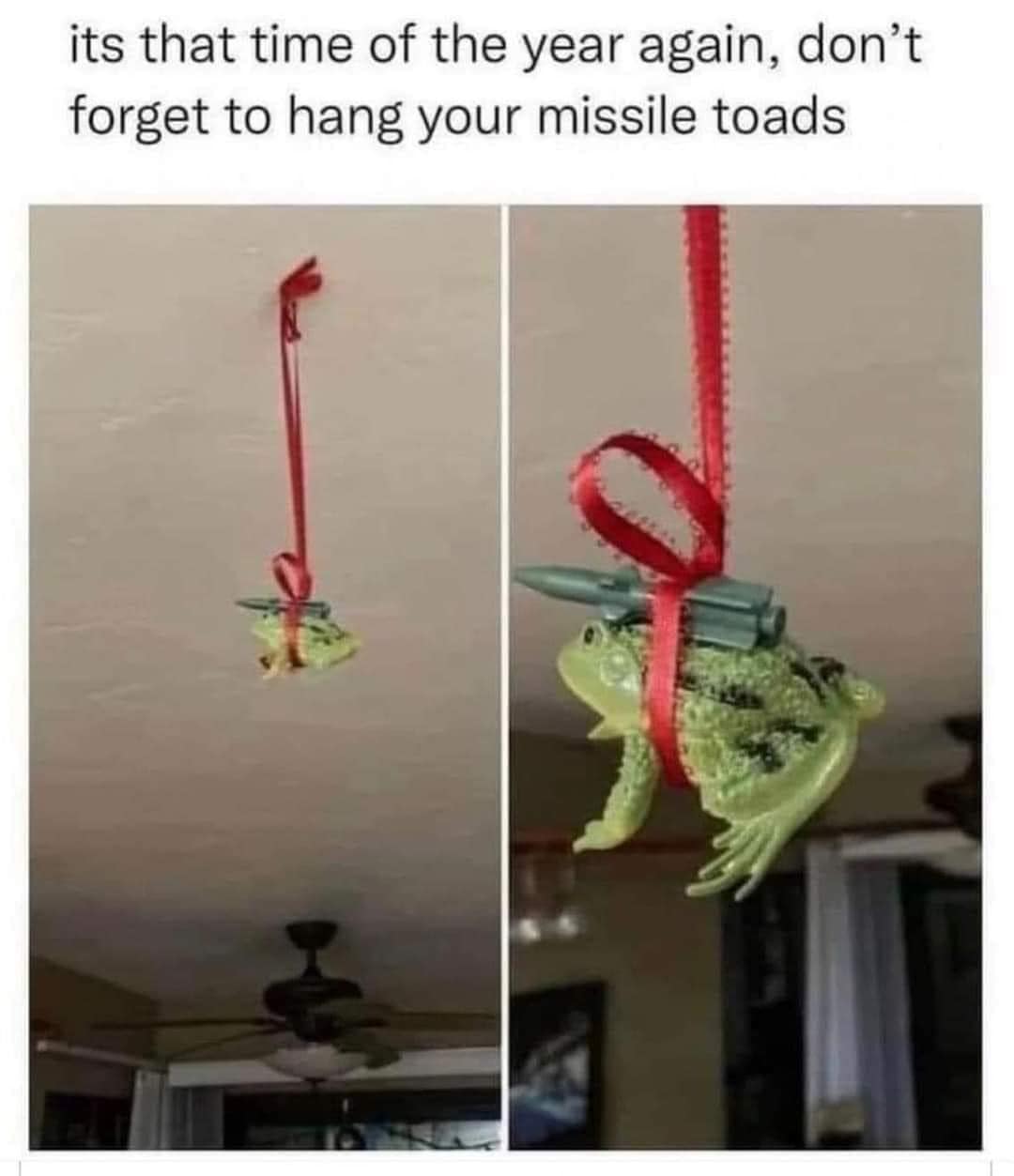 Missile Toads meme