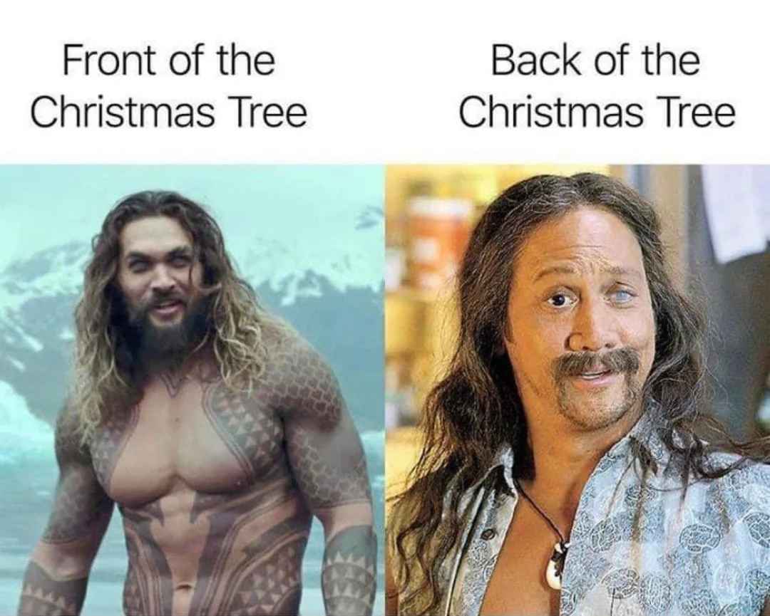 Front of the Christmas Tree vs Back of the Christmas Tree