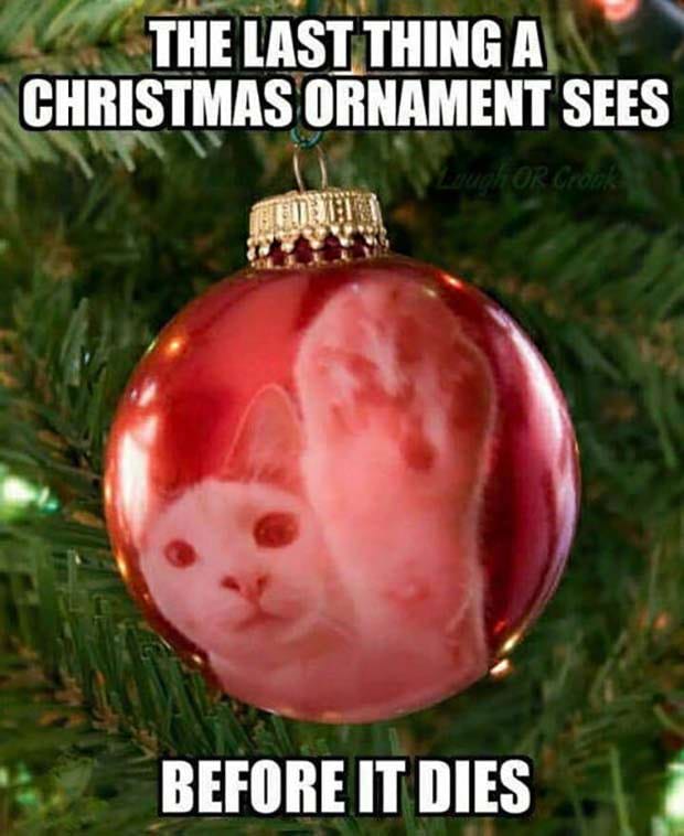 The Last Thing An Ornament Seed